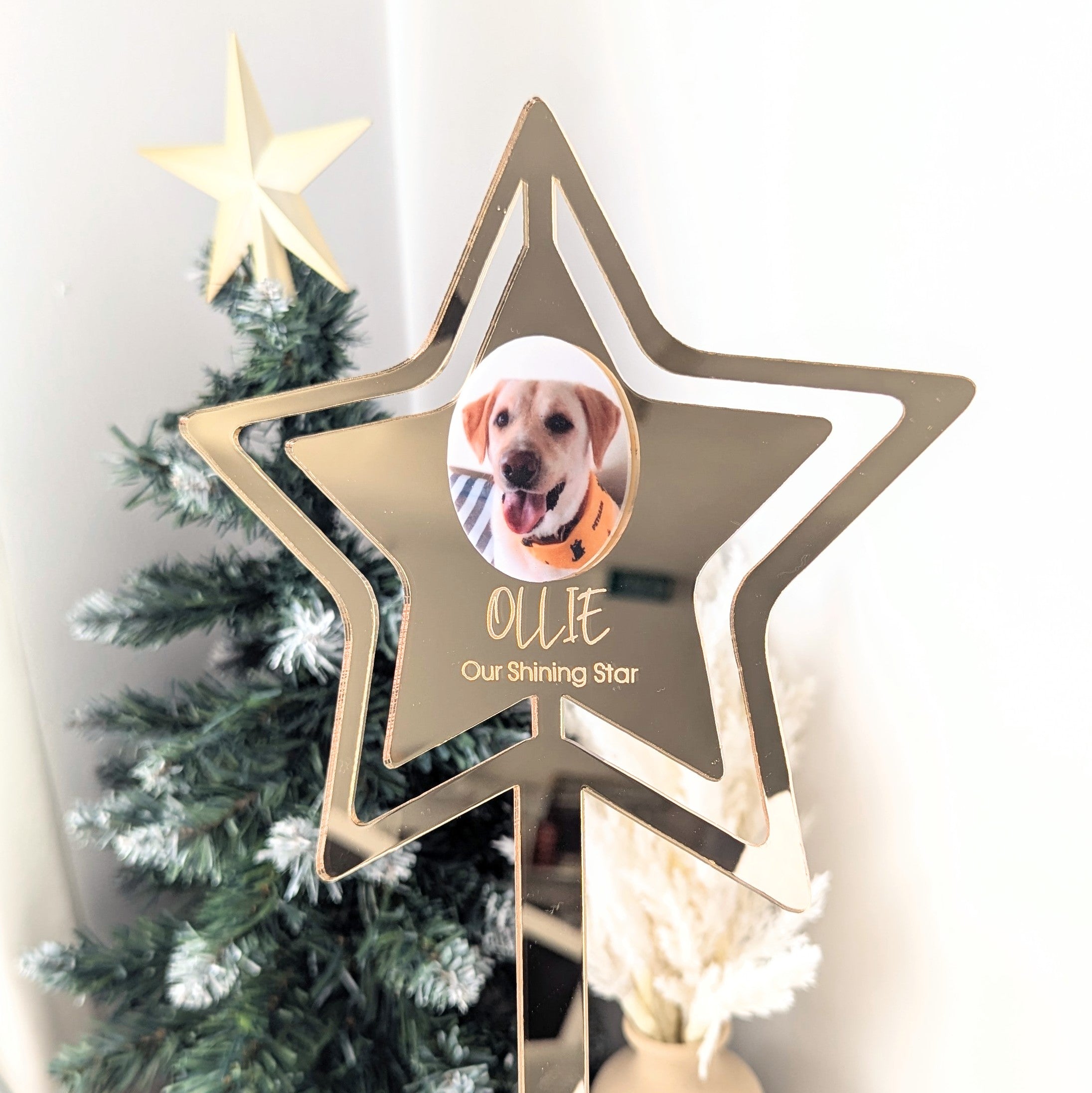 Photo Star Christmas Tree Topper