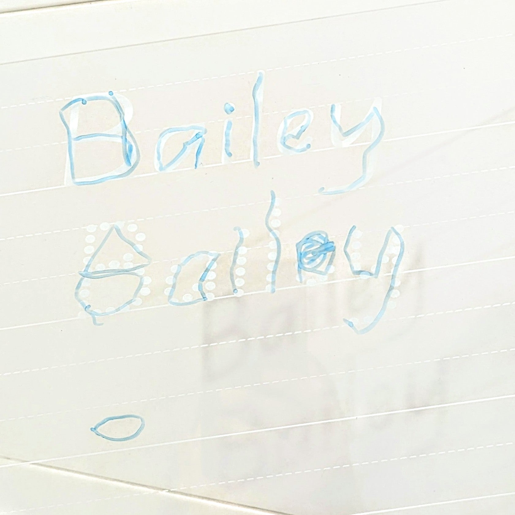Trace & Wipe Board - Names