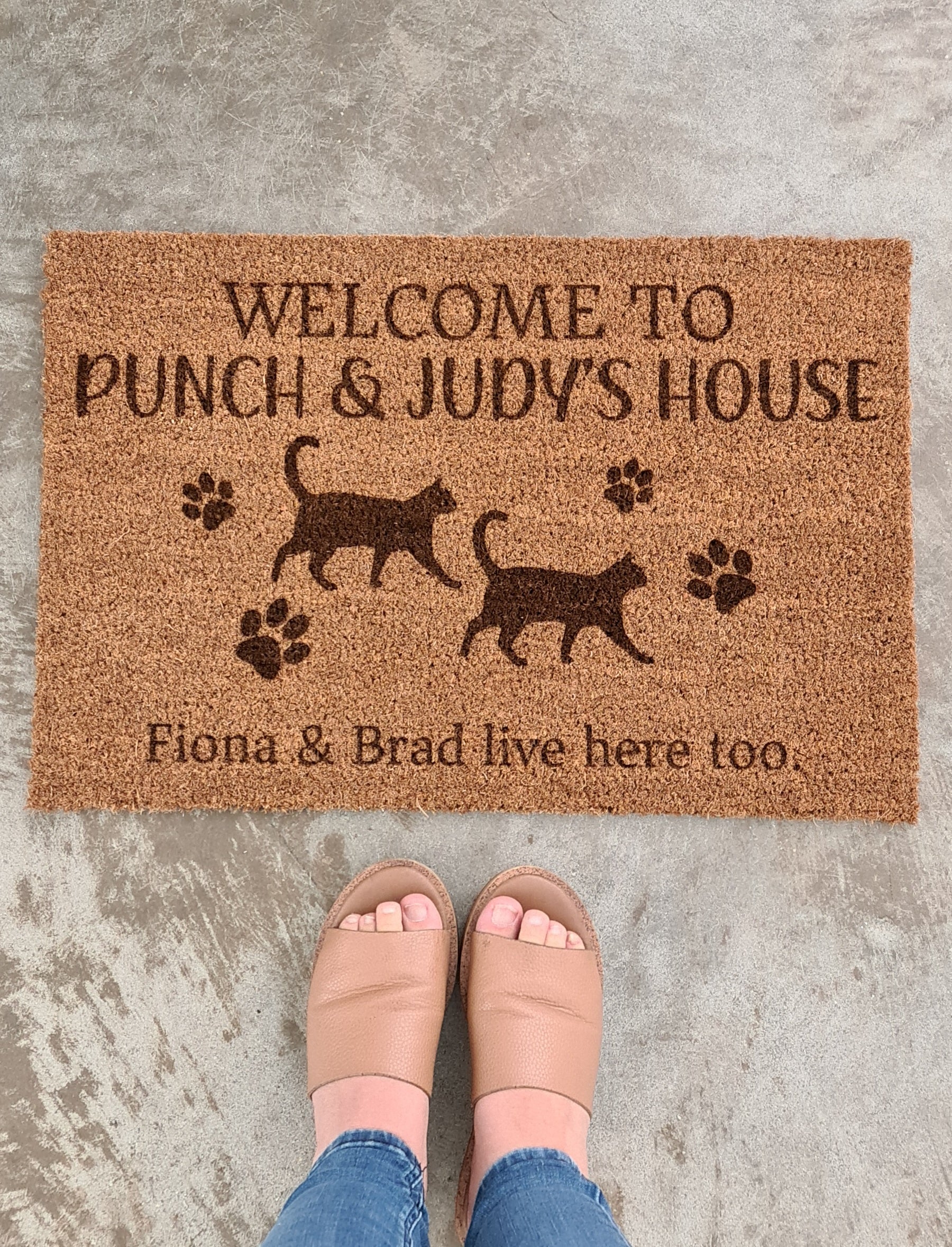 It's the Pets House Door Mat