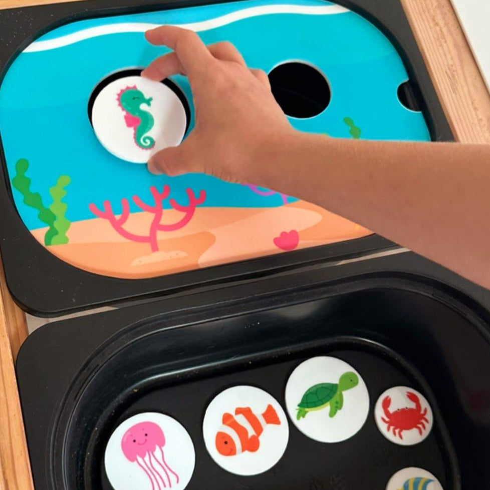 Under The Sea - Size Sorting & Conversation - insert for Trofast Flisat or Kmart Table