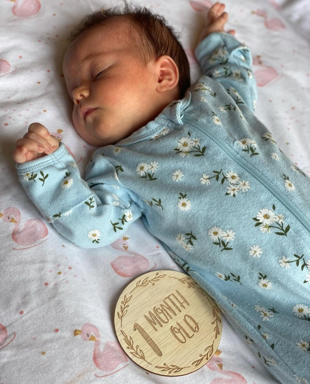 Wreath Milestone Discs - Baby Sets