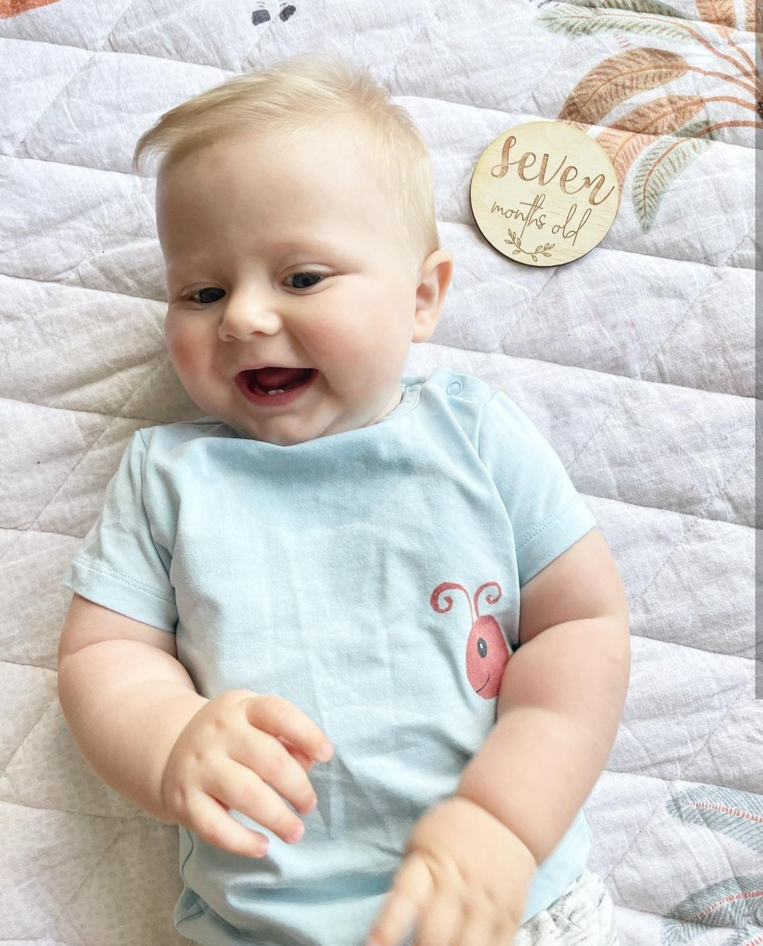 Original Milestone Discs - Baby Set